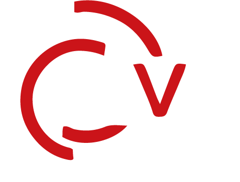 Mansa Ventures Group Logo